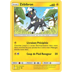 Zébibron TEU - 044/181
