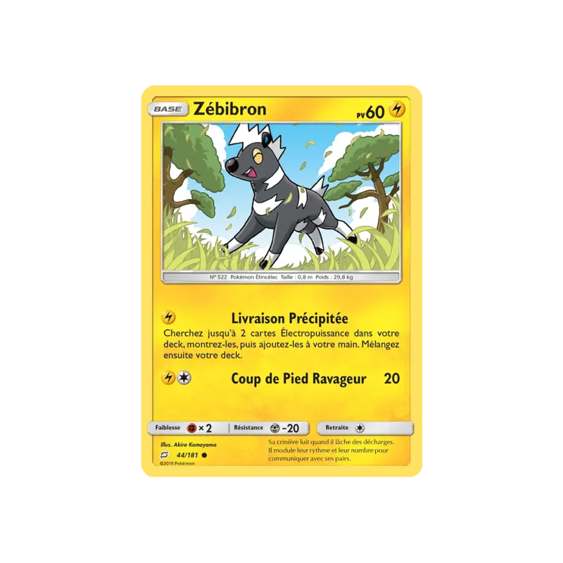 Zébibron TEU - 044/181