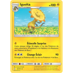 Iguolta TEU - 050/181