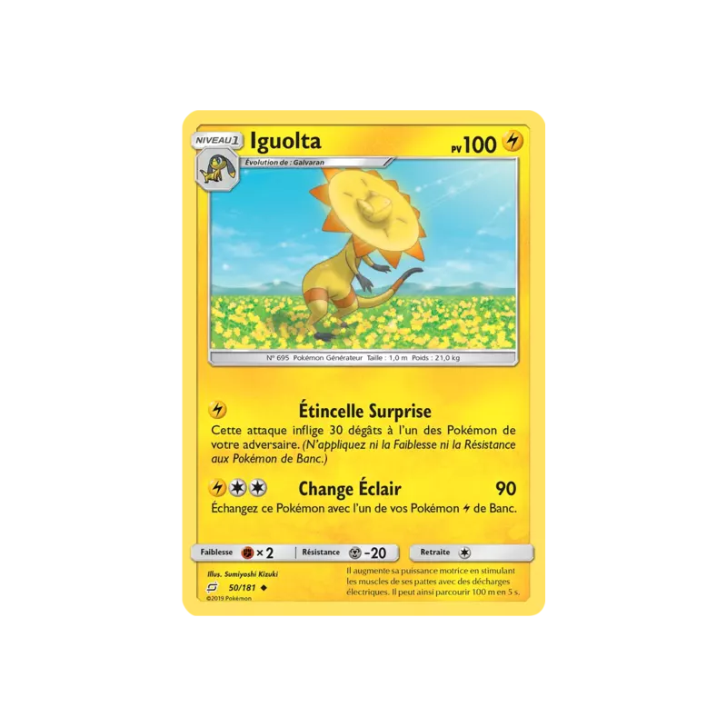 Iguolta TEU - 050/181