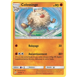 Colossinge TEU - 072/181
