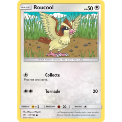 Roucool TEU - 121/181