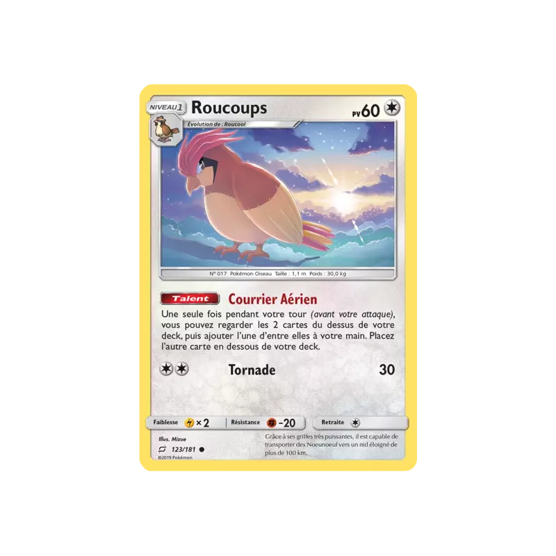 Roucoups TEU - 123/181