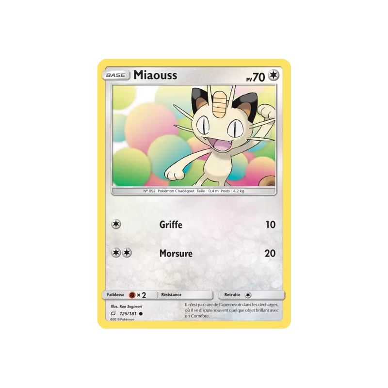 Miaouss TEU - 125/181