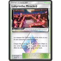 Labyrinthe Miracle TEU - 158/181