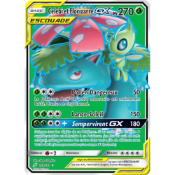 Celebi et Florizarre Escouade TEU - 159/181