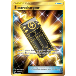Électrochargeur TEU - 193/181