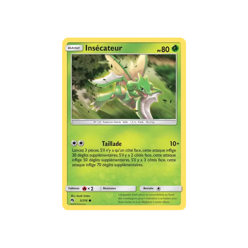 Insécateur LOT - 003/214