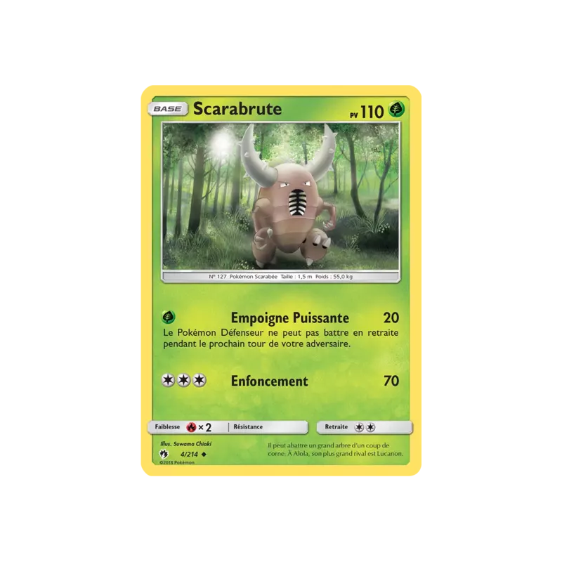 Scarabrute LOT - 004/214
