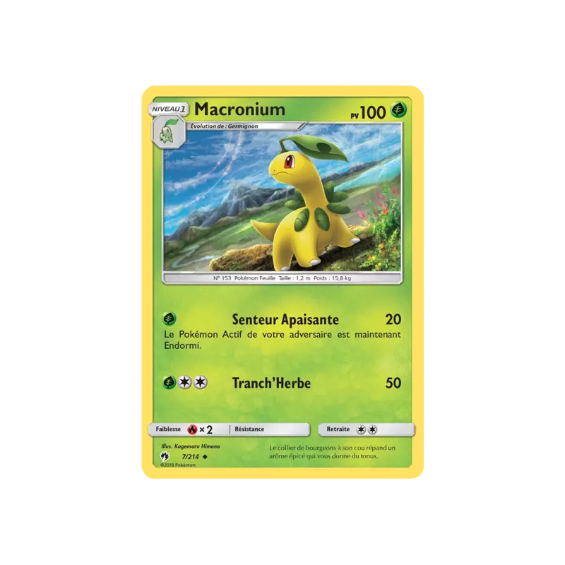 Macronium LOT - 007/214