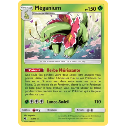 Méganium LOT - 008/214