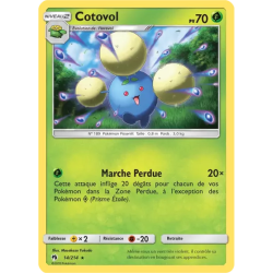 Cotovol LOT - 014/214