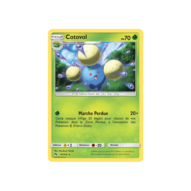 Cotovol LOT - 014/214