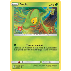 Arcko LOT - 020/214