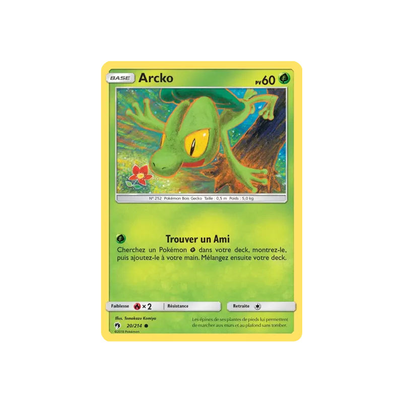 Arcko LOT - 020/214