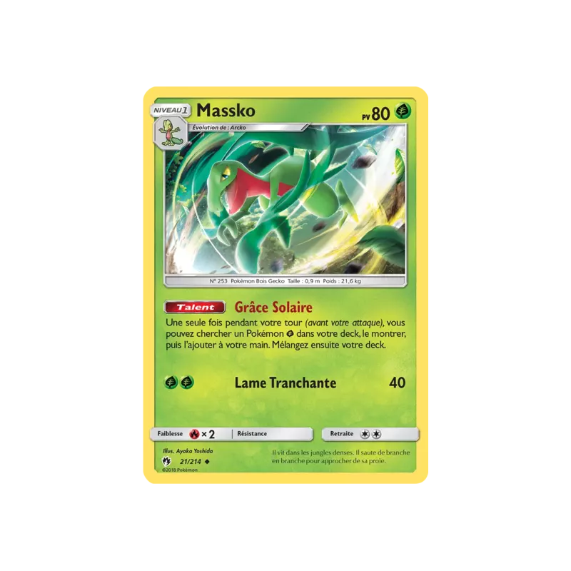 Massko LOT - 021/214