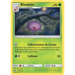 Blindalys LOT - 027/214