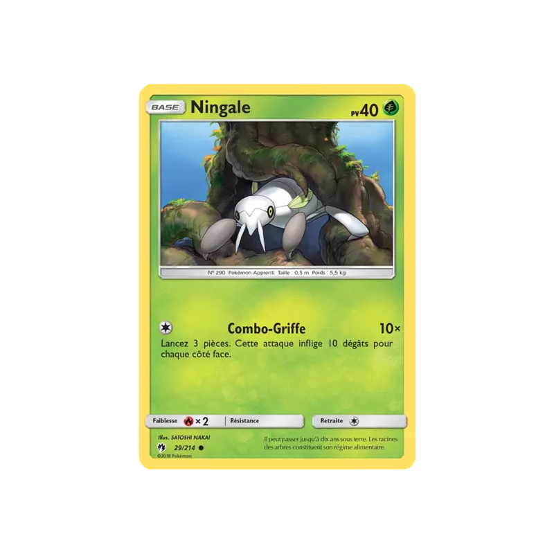Ningale LOT - 029/214