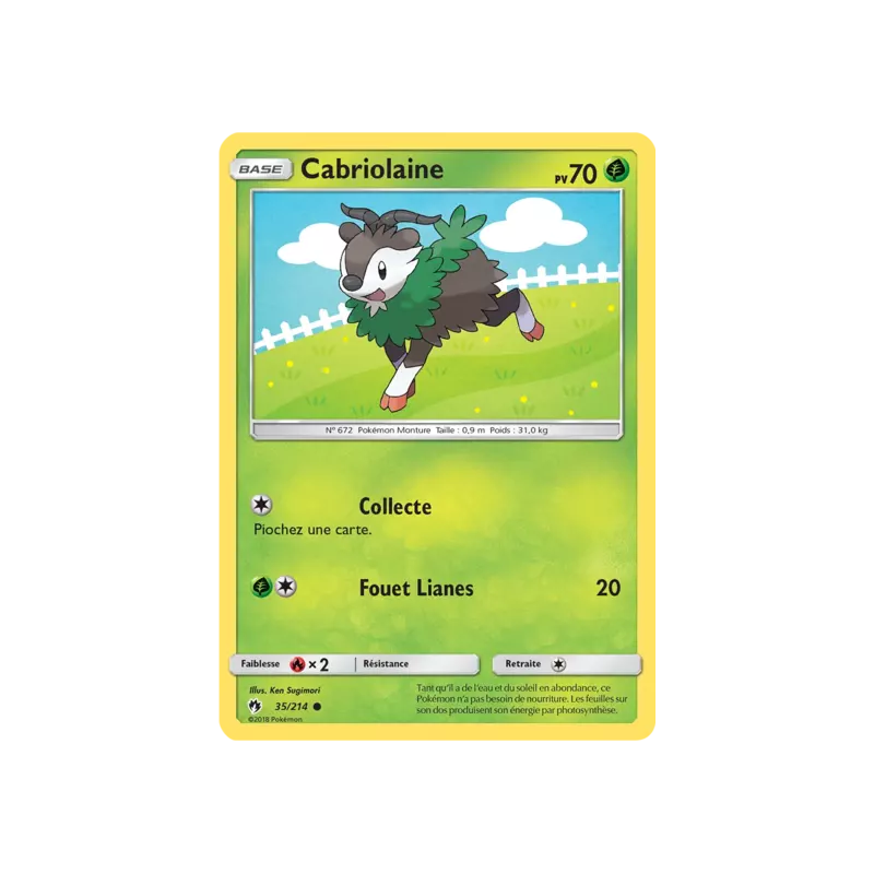 Cabriolaine LOT - 035/214