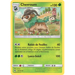 Chevroum LOT - 036/214