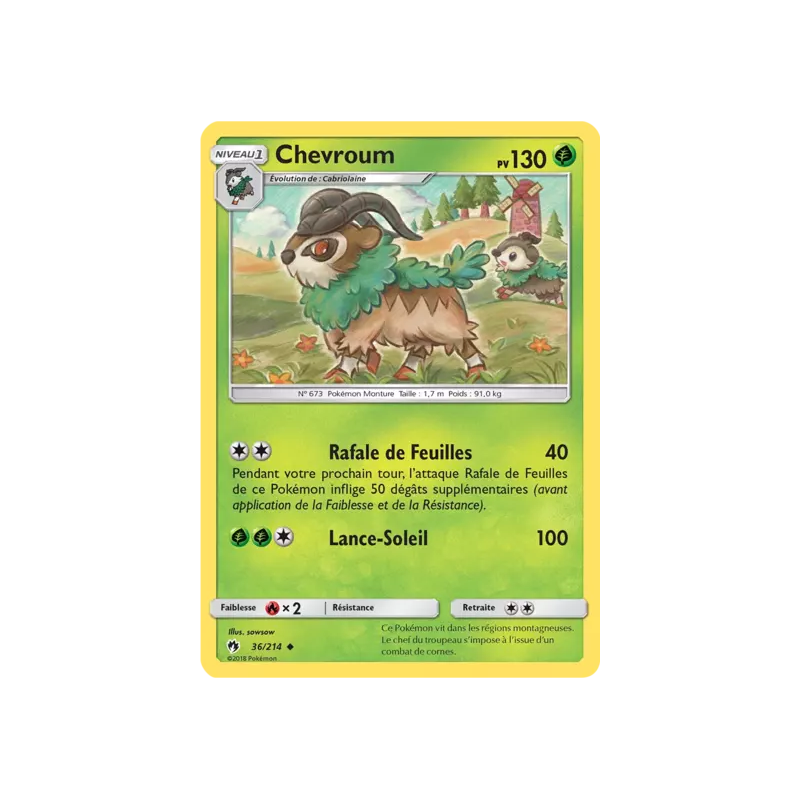 Chevroum LOT - 036/214
