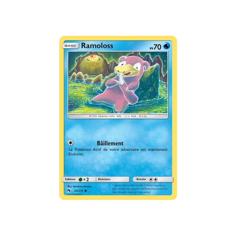 Ramoloss LOT - 054/214
