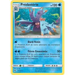 Prédastérie LOT - 069/214