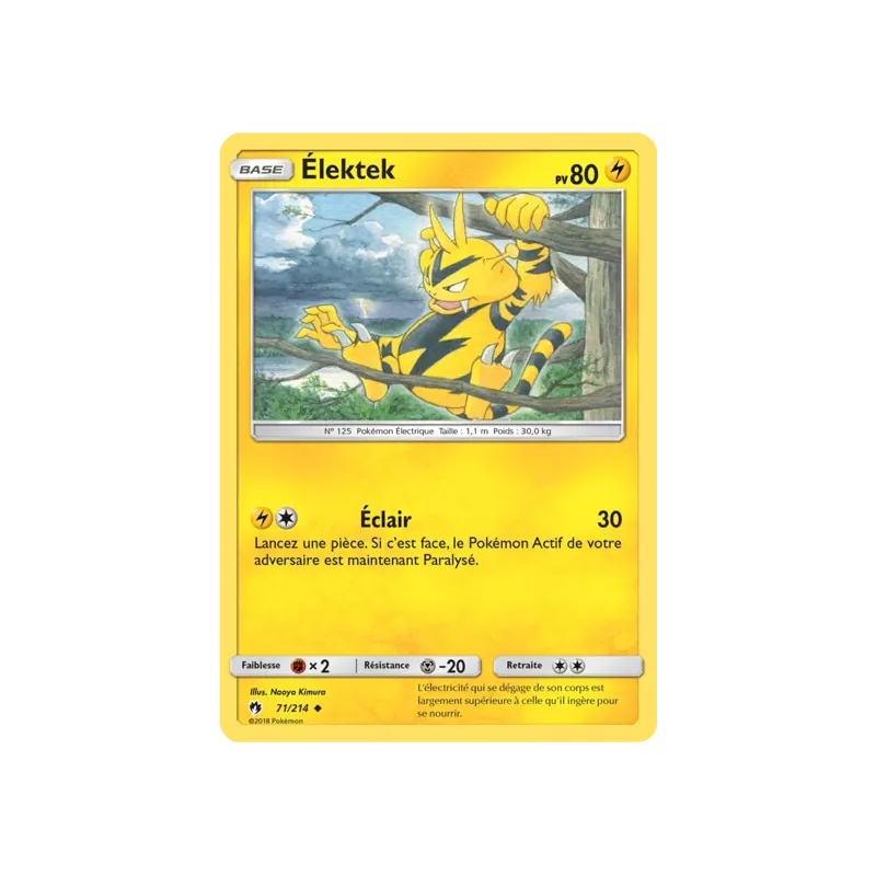 Élektek LOT - 071/214