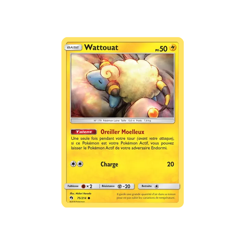 Wattouat LOT - 075/214