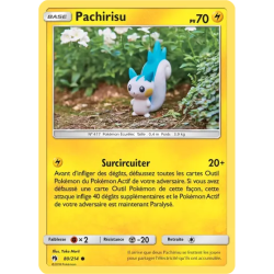 Pachirisu LOT - 080/214