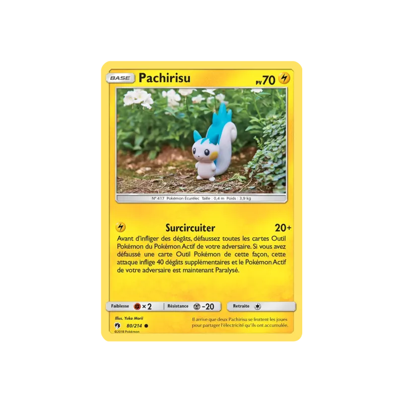 Pachirisu LOT - 080/214