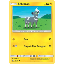 Zébibron LOT - 081/214