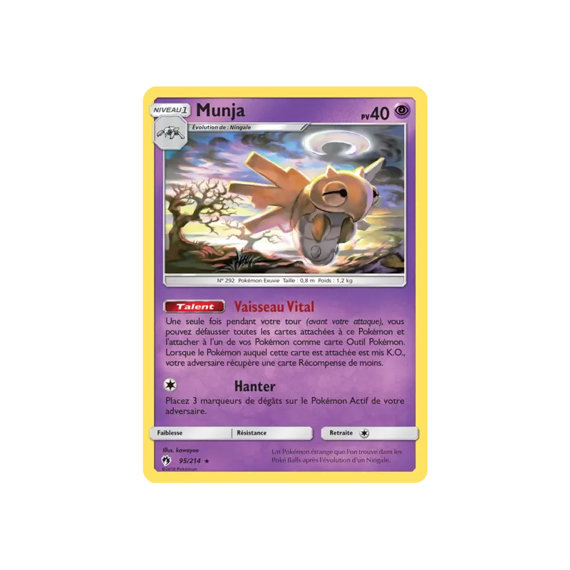 Munja LOT - 095/214