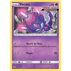 Vémini LOT - 107/214