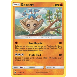 Kapoera LOT - 113/214