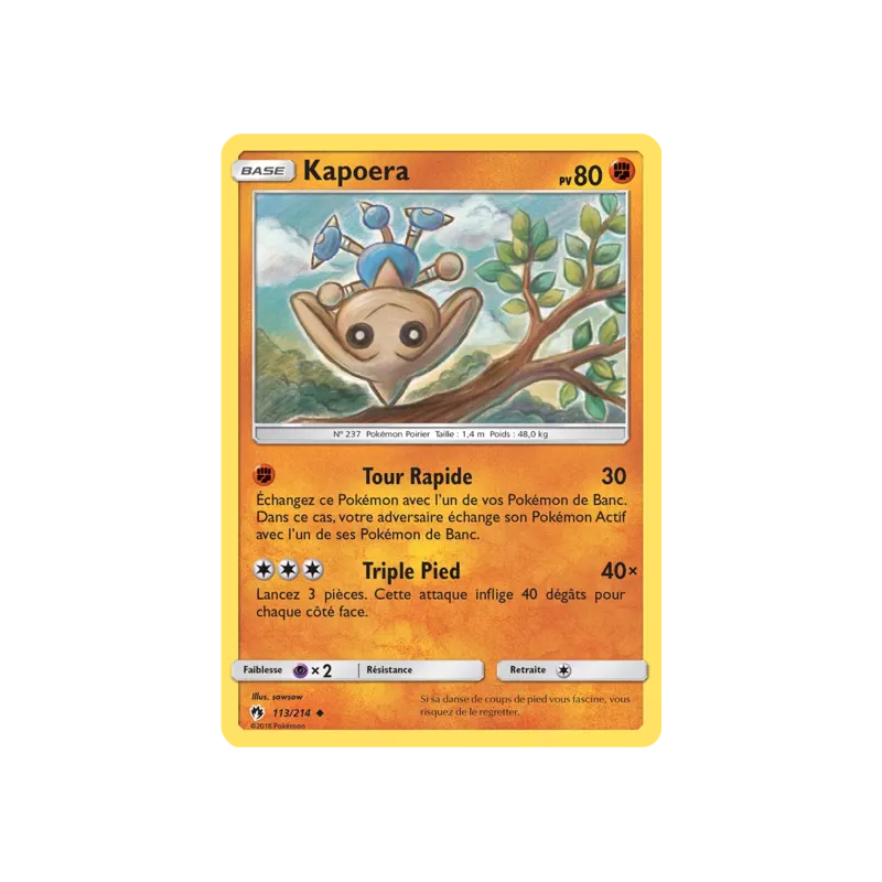 Kapoera LOT - 113/214