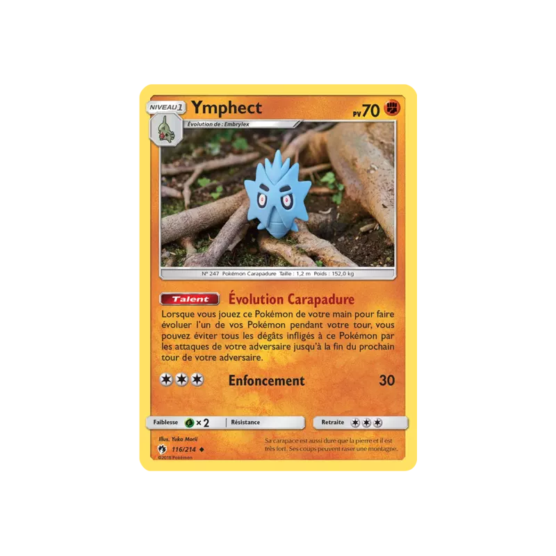 Ymphect LOT - 116/214