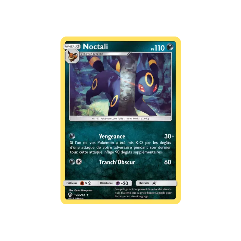 Noctali LOT - 120/214