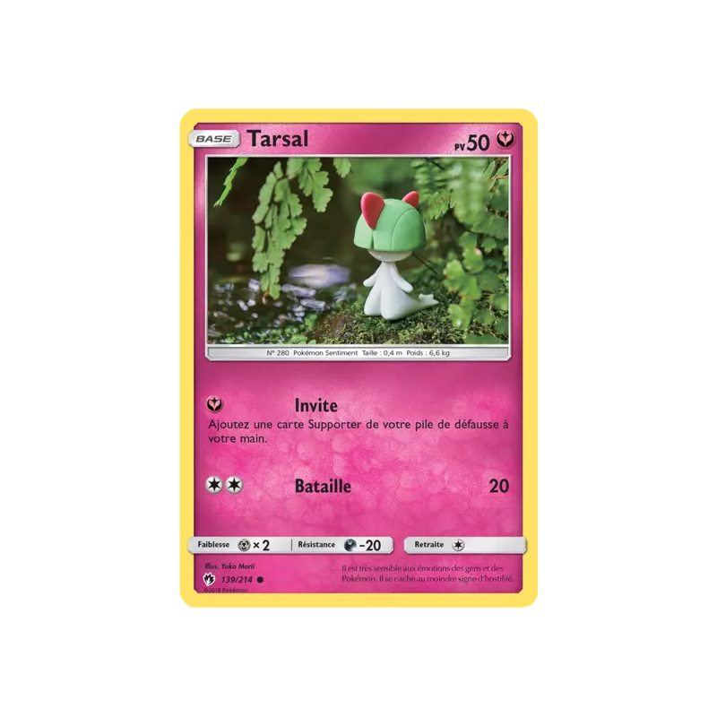 Tarsal LOT - 139/214