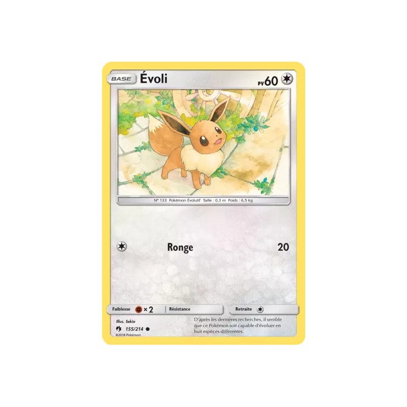 Évoli LOT - 155/214