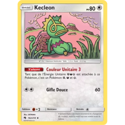 Kecleon LOT - 162/214