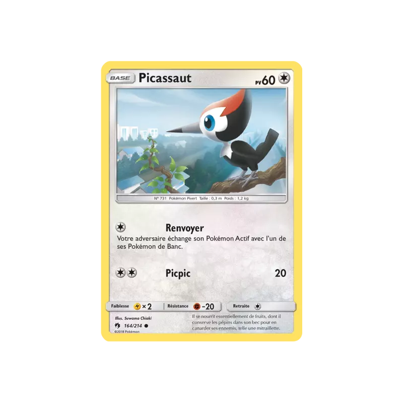 Picassaut LOT - 164/214