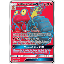 Volcaropod GX LOT - 198/214