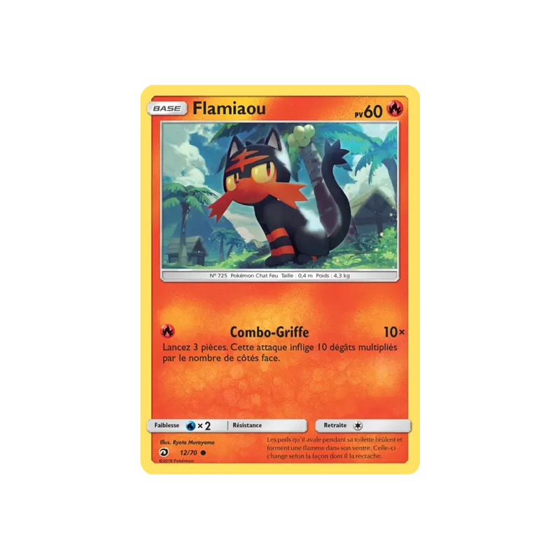 Flamiaou DRM - 12/70