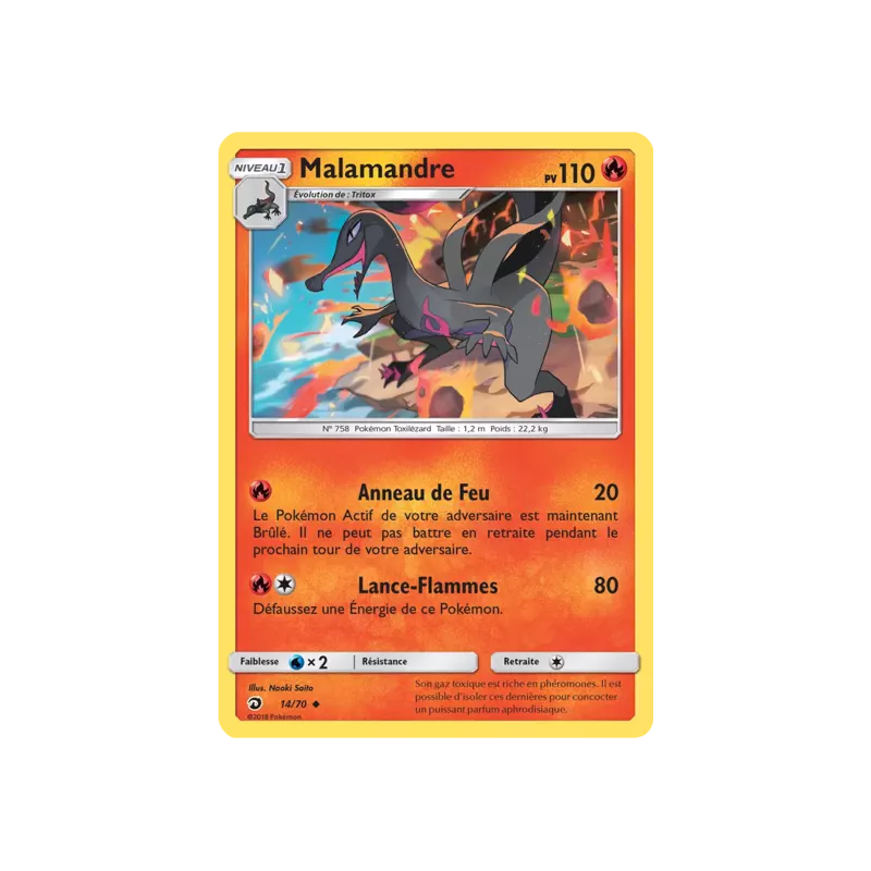 Malamandre DRM - 14/70