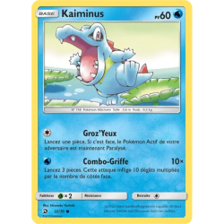 Kaiminus DRM - 22/70