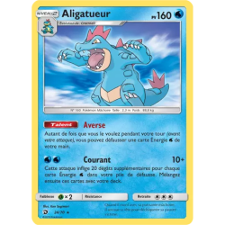 Aligatueur DRM - 24/70