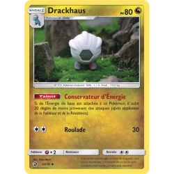 Drackhaus DRM - 43/70