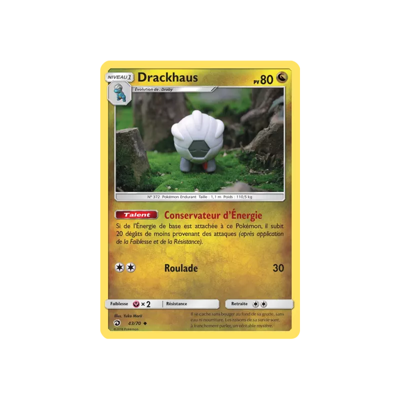 Drackhaus DRM - 43/70