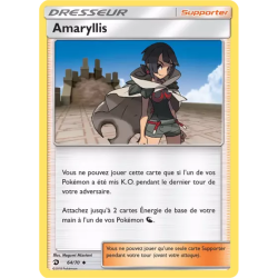 Amaryllis DRM - 64/70